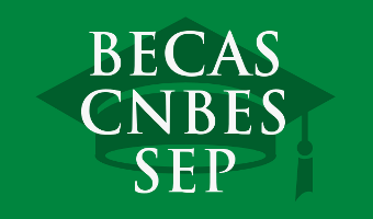 Becas CNBES